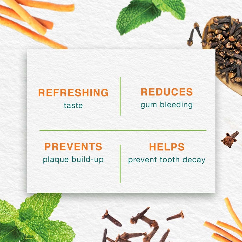 Himalaya Gum Expert Mint Fresh Paraben-Free Herbal Toothpaste Gel 100ml, Pack of 2's