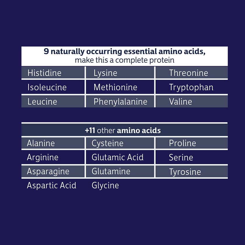 Biochem 100% Whey Isolate Protein Powder - Vanilla Flavor 1377g