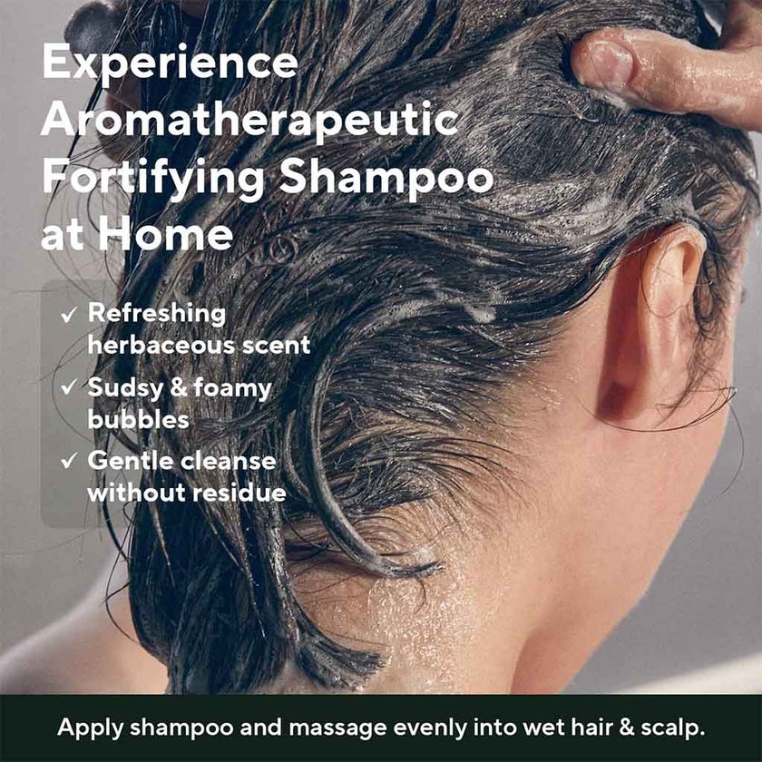 Aromatica Tea Tree Anti-hair loss Purifying Shampoo 400ml