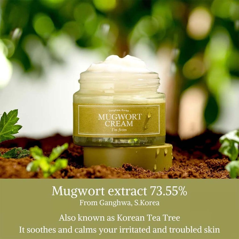 I'm From Mugwort Moisturizing Facial Cream 50g