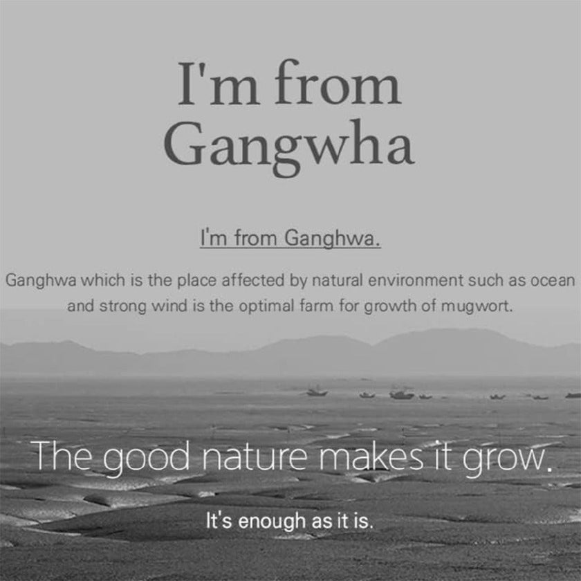 I'm From Mugwort Moisturizing Facial Cream 50g