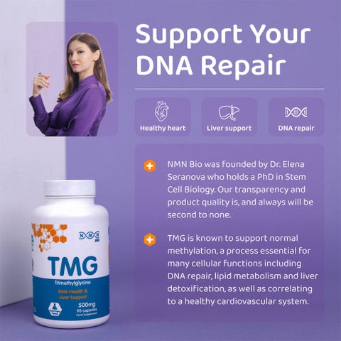 NMN Bio TMG 500mg Capsules, DNA Health & Liver Support - 90 Capsules