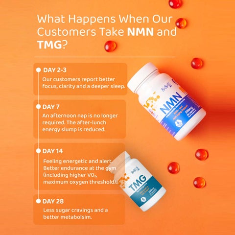 NMN Bio TMG 500mg Capsules, DNA Health & Liver Support - 90 Capsules