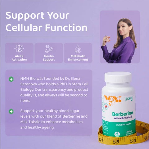 NMN Bio Berberine With Milk Thistle 400mg Capsules, Liver Support - 60 Capsules