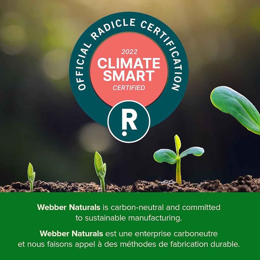 Webber Naturals B50 Complex 50mg Capsules For Energy Support, Pack of 60’s