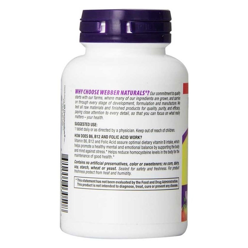 Webber Naturals Vitamin B6, B12 & Folic Acid Capsules, Pack of 90’s