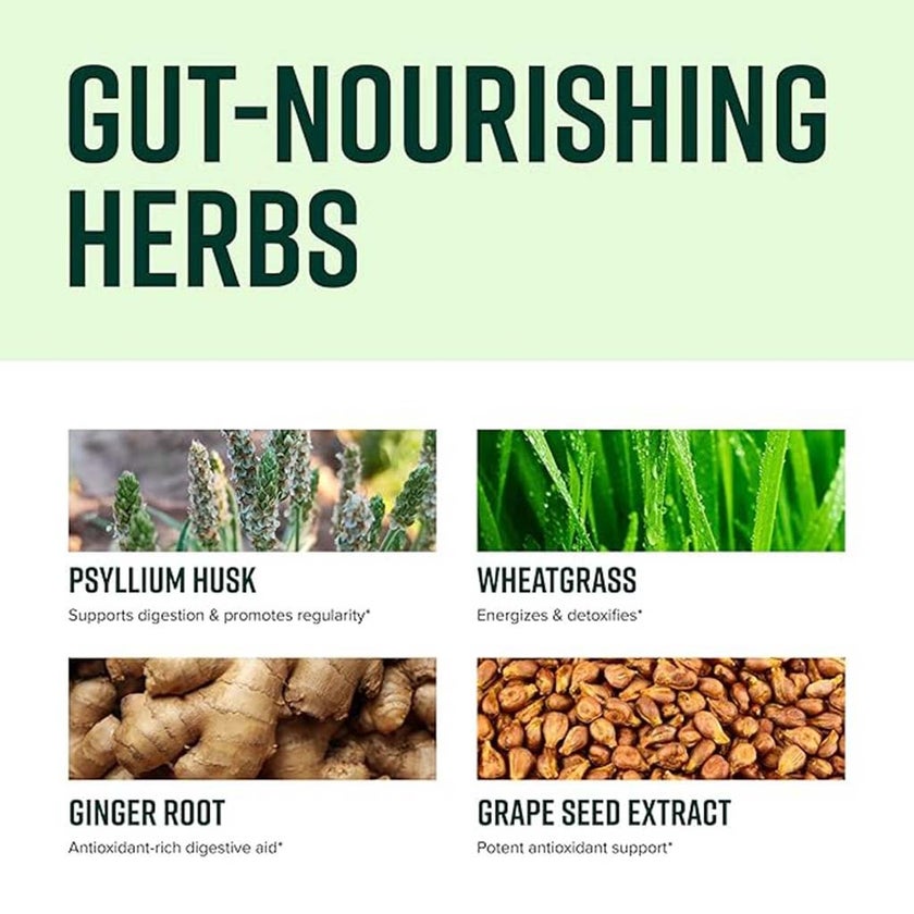 Vibrant Health Digestive Vibrance With 100 Billion Probiotics For Digestive Support 204g - Orange Flavored, 14 Servings