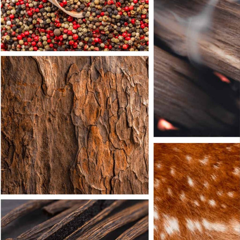 Preparfumer Monaco Perfume - Woody Spicy Luxury Fragrance 15ml