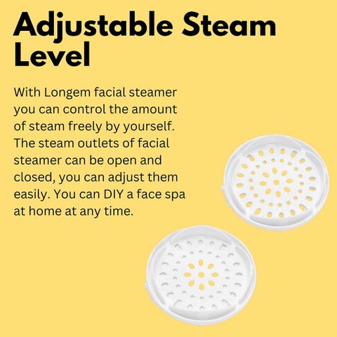 Wolaid Classic Steam Inhaler
