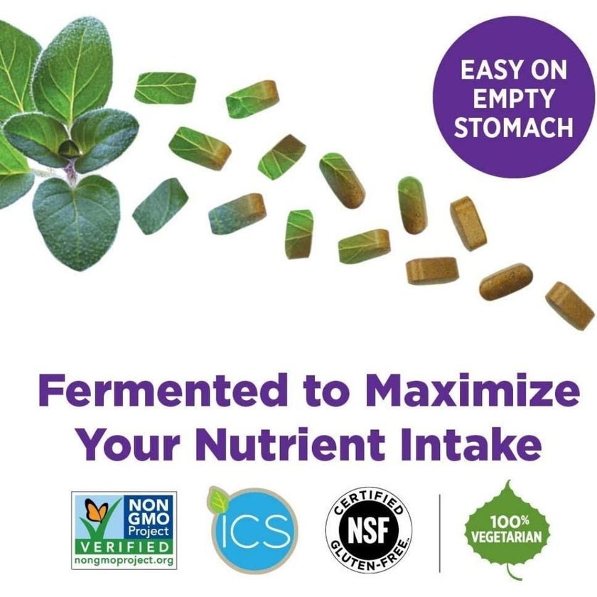 New Chapter Every Man's One Daily 55+ Multivitamin Tablets, Pack of 72's