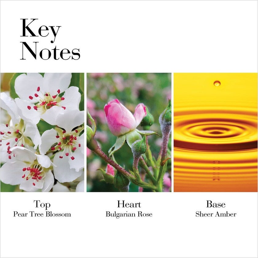 Elizabeth Arden White Tea Wild Rose Eau De Toilette For Women 100ml