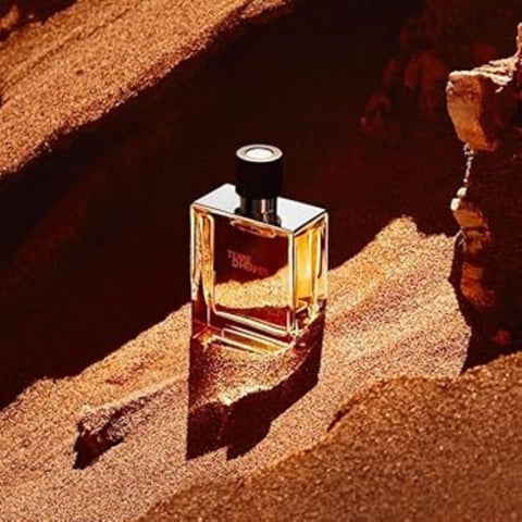 تيري دي هيرميس بيور او دي عطر بارفان للرجال - عطر خشبي حمضي فاخر، 75 مل