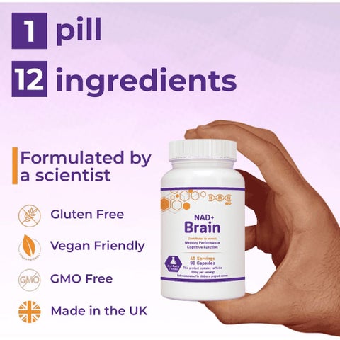 NMN Bio NAD+ Brain Capsules, Cognitive Support - 90 Capsules