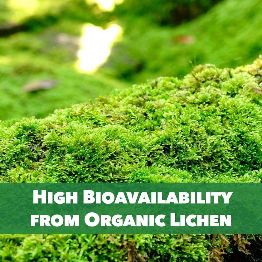 PlantFusion Vitamin D3 2000IU Tablets, Pack of 60's