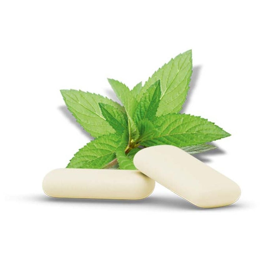 Ginjer Chewing Gum 30g - Mint Flavor