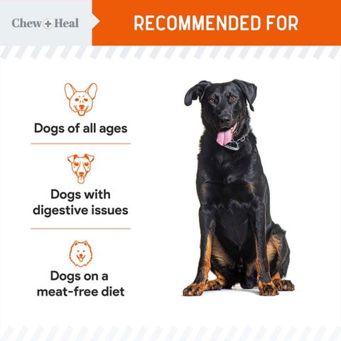 Chew + Heal Pumpkin & Probiotic Crunchy Treats For Dogs 340g