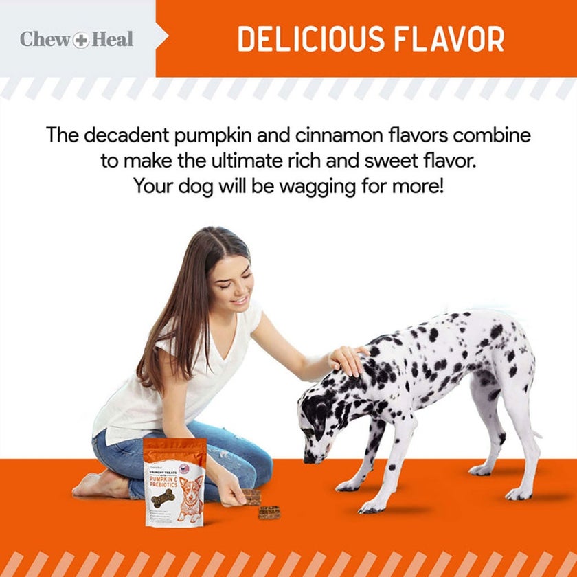 Chew + Heal Pumpkin & Probiotic Crunchy Treats For Dogs 340g
