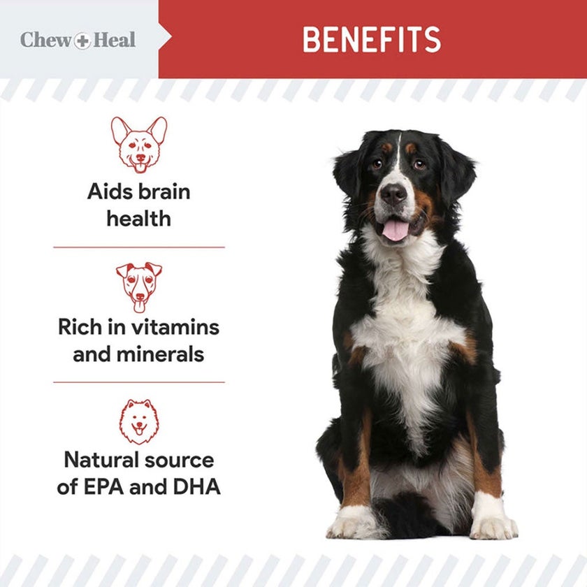 Chew + Heal Salmon Focus Soft Jerky Treats For Dogs 340g