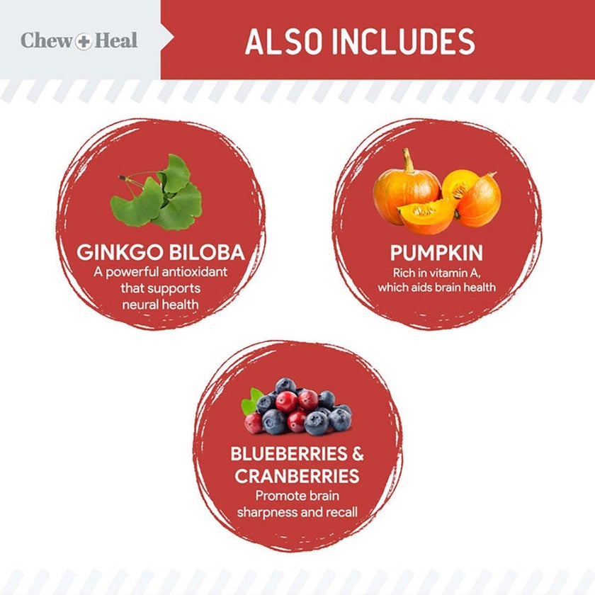 Chew + Heal Salmon Focus Soft Jerky Treats For Dogs 340g