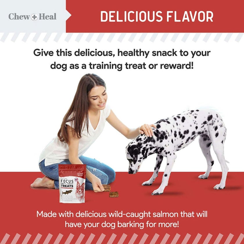 Chew + Heal Salmon Focus Soft Jerky Treats For Dogs 340g