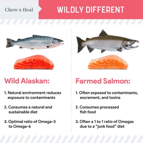 Chew + Heal Salmon Soft & Yummy Treats For Puppies 340g