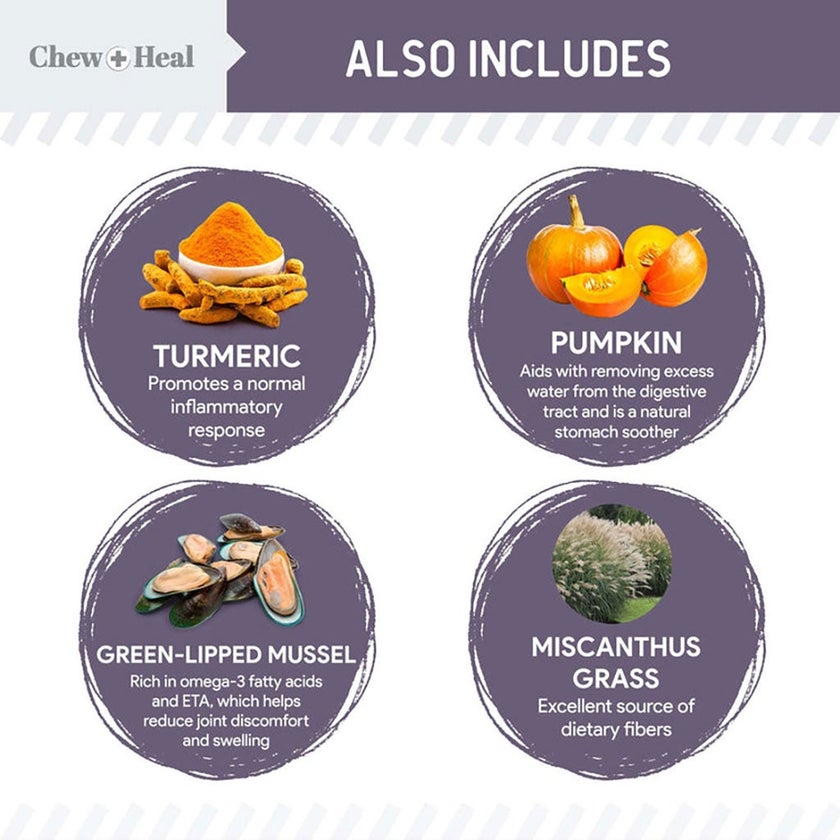 Chew + Heal Salmon Soft Jerky Treats For Senior Dogs 340g