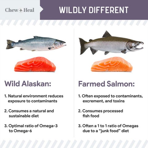 Chew + Heal Salmon Soft Jerky Treats For Senior Dogs 340g