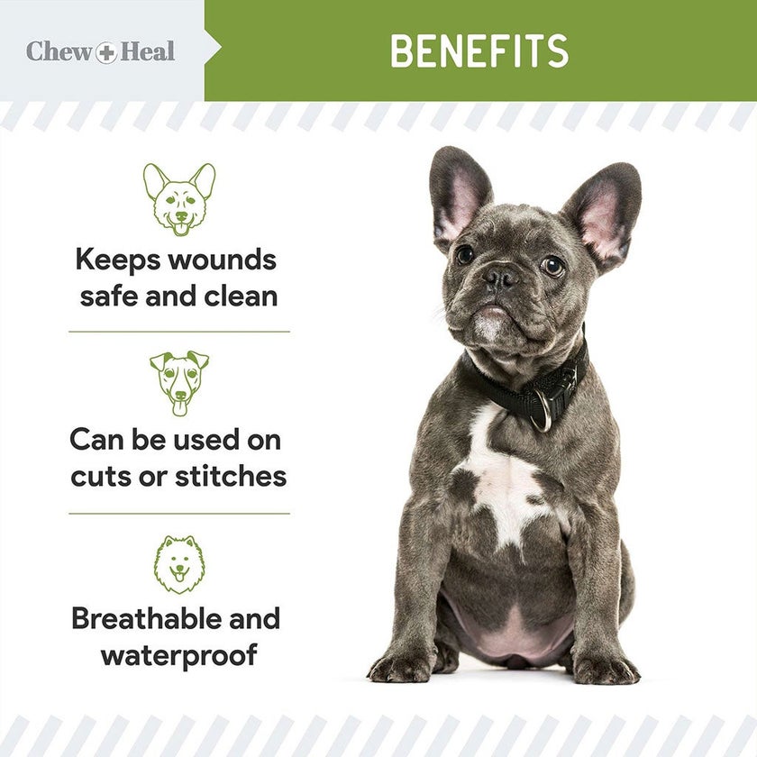 Chew + Heal Liquid Bandage Spray For Dogs 236ml