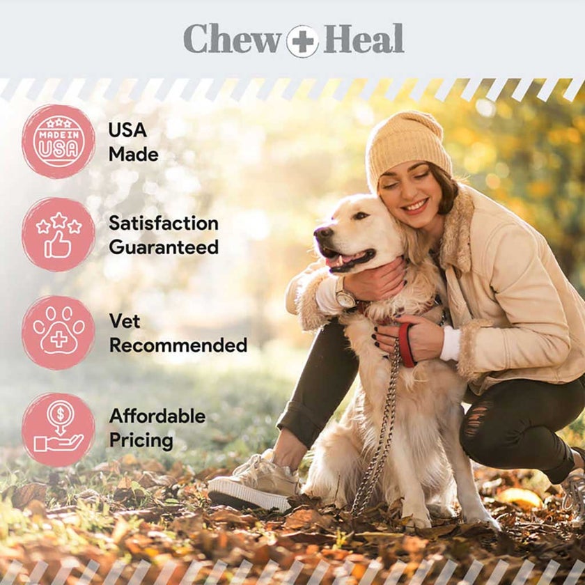 Chew + Heal Stop The Diarrhea Oral Liquid Digestive Aid For Dogs 355ml