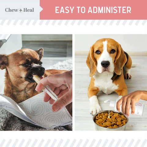 Chew + Heal Stop The Diarrhea Oral Liquid Digestive Aid For Dogs 355ml