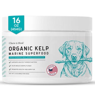 Chew + Heal Organic Kelp Marine Superfood For Dogs 454g
