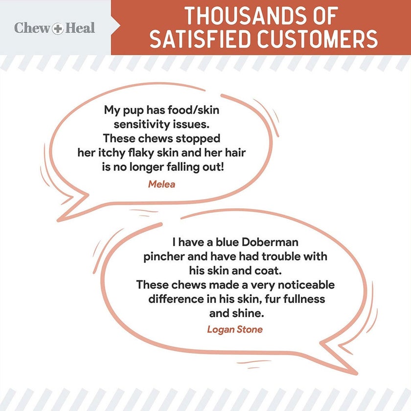 Chew + Heal Omega Skin + Coat Salmon Flavored Soft Chews For Dogs & Cats, Pack of 180's