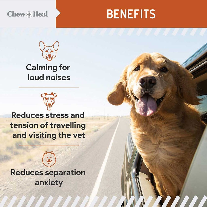 Chew + Heal Calming Anxiety + Stress Soft Chews For Dogs, Pack of 30's