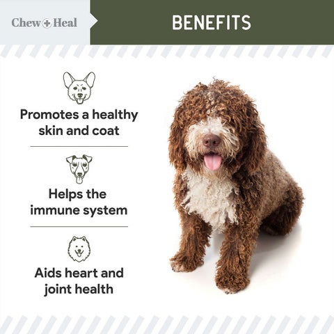 Chew + Heal Wild Icelandic Cod Liver Oil For Dogs 236ml
