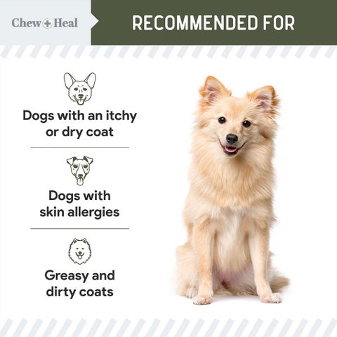 Chew + Heal Wild Icelandic Cod Liver Oil For Dogs 236ml