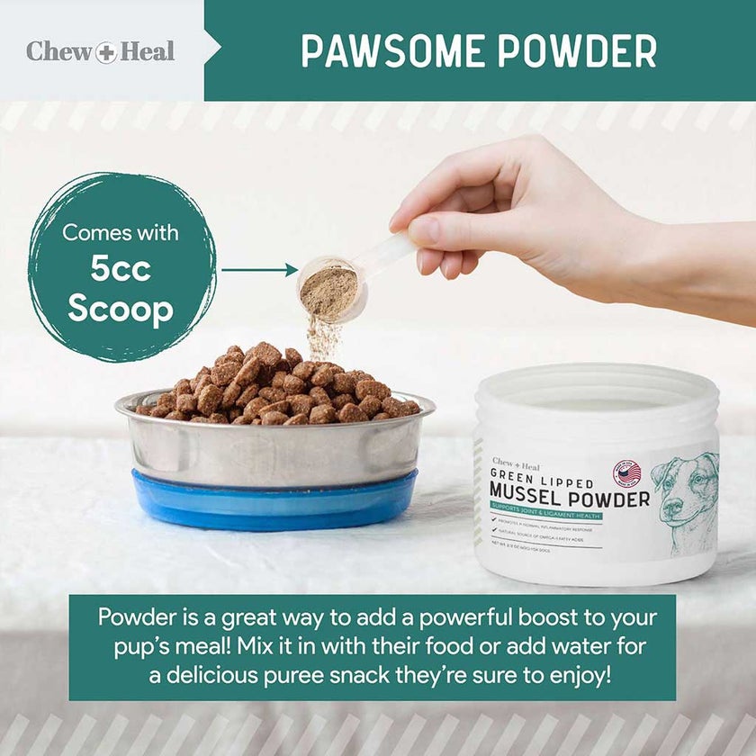 Chew + Heal Green Lipped Mussel Powder For Dogs 60g