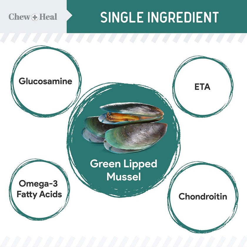 Chew + Heal Green Lipped Mussel Powder For Dogs 170g