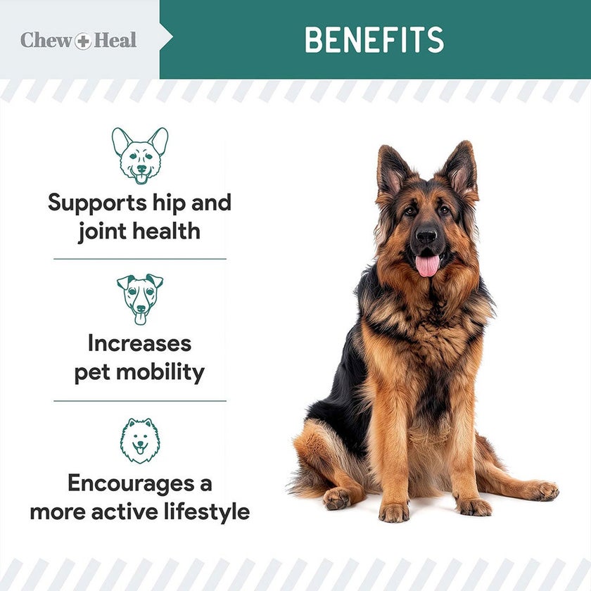 Chew + Heal Green Lipped Mussel Powder For Dogs 170g