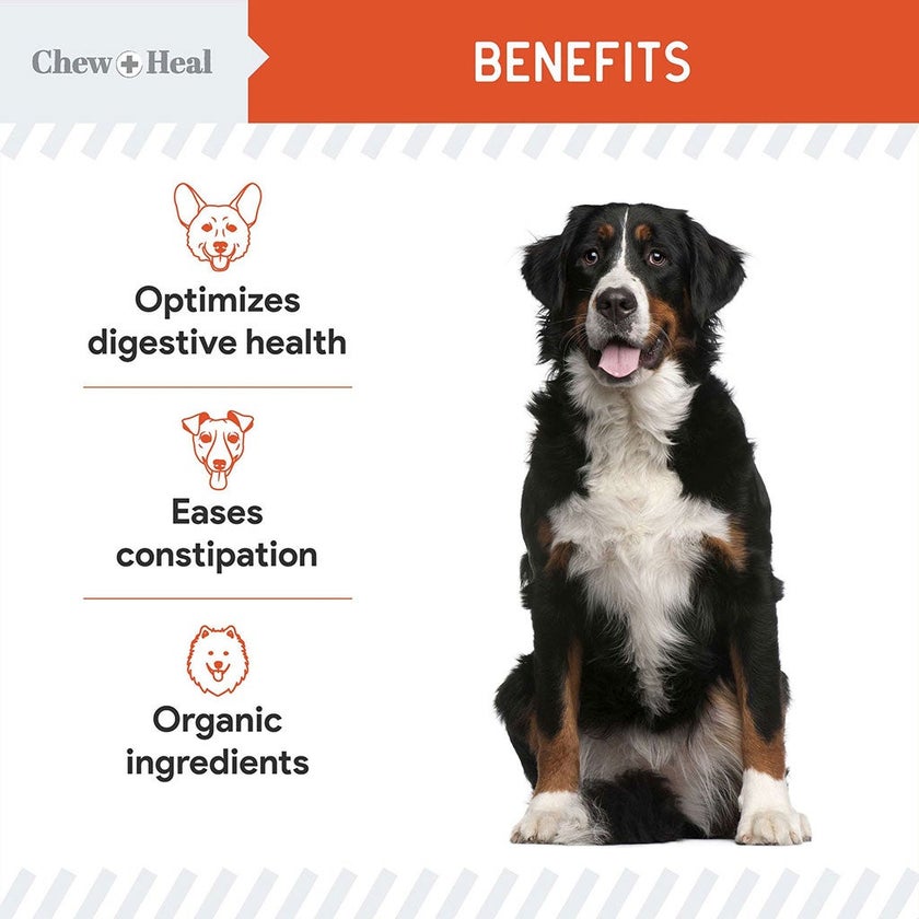 Chew + Heal Organic Pumpkin Digestive Defense Powder For Dogs 454g