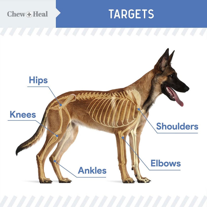 Chew + Heal Advanced Mobility Support Oral Liquid For Senior Dogs 473ml