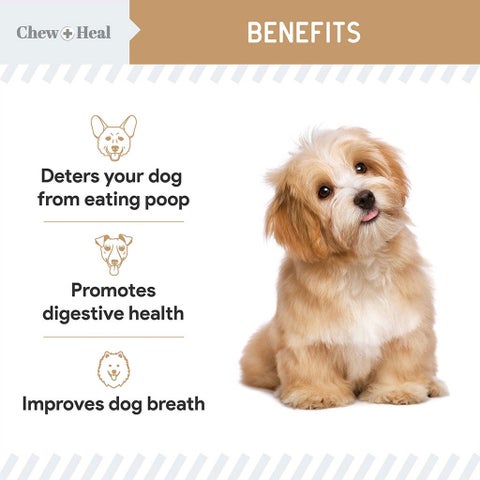Chew + Heal Stop The Poo Peanut Butter Flavored Soft Chews For Dogs, Pack of 120's
