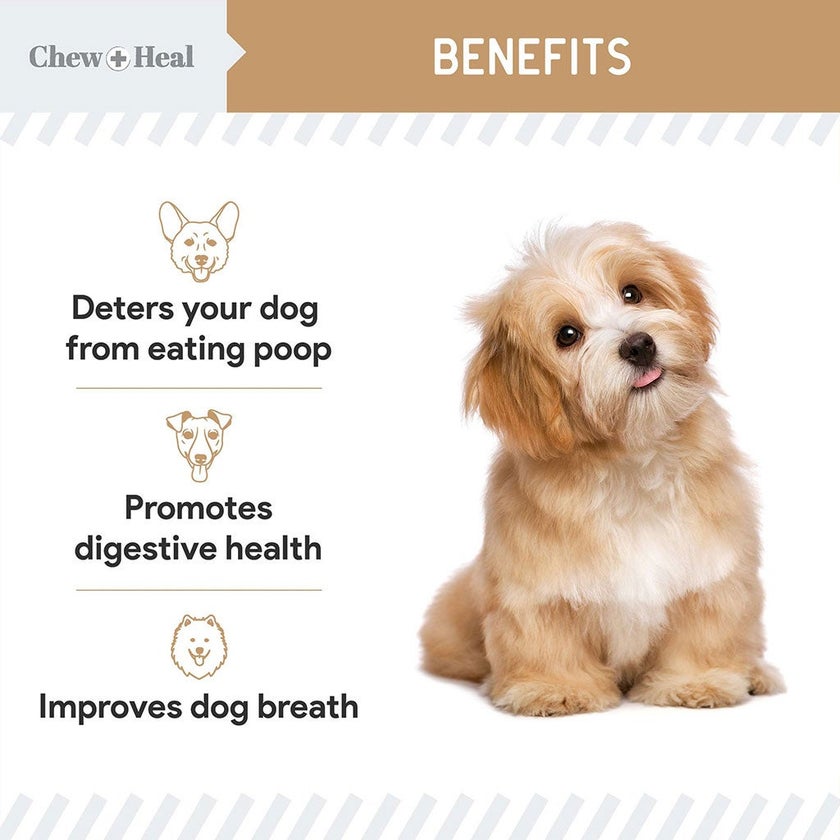 Chew + Heal Stop The Poo Peanut Butter Flavored Soft Chews For Dogs, Pack of 120's