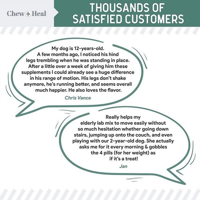 Chew + Heal Senior Hip + Joint Support Soft Chews For Dogs, Pack of 120's