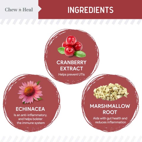 Chew + Heal Cranberry Support Soft Chews For Dogs, Pack of 120's