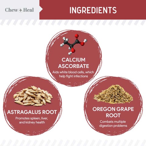 Chew + Heal Cranberry Support Soft Chews For Dogs, Pack of 120's