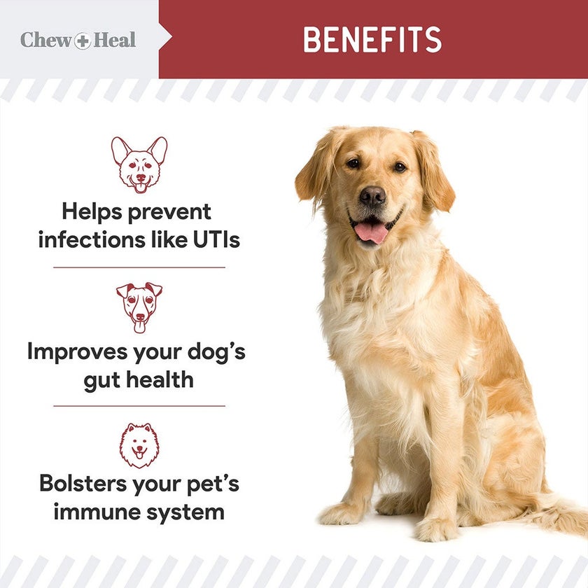 Chew + Heal Cranberry Support Soft Chews For Dogs, Pack of 120's