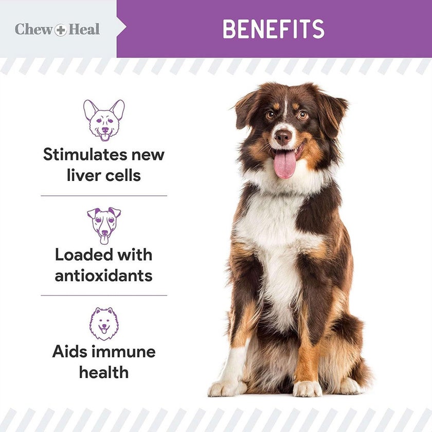Chew + Heal Milk Thistle Tincture Oral Supplement For Dogs 120ml