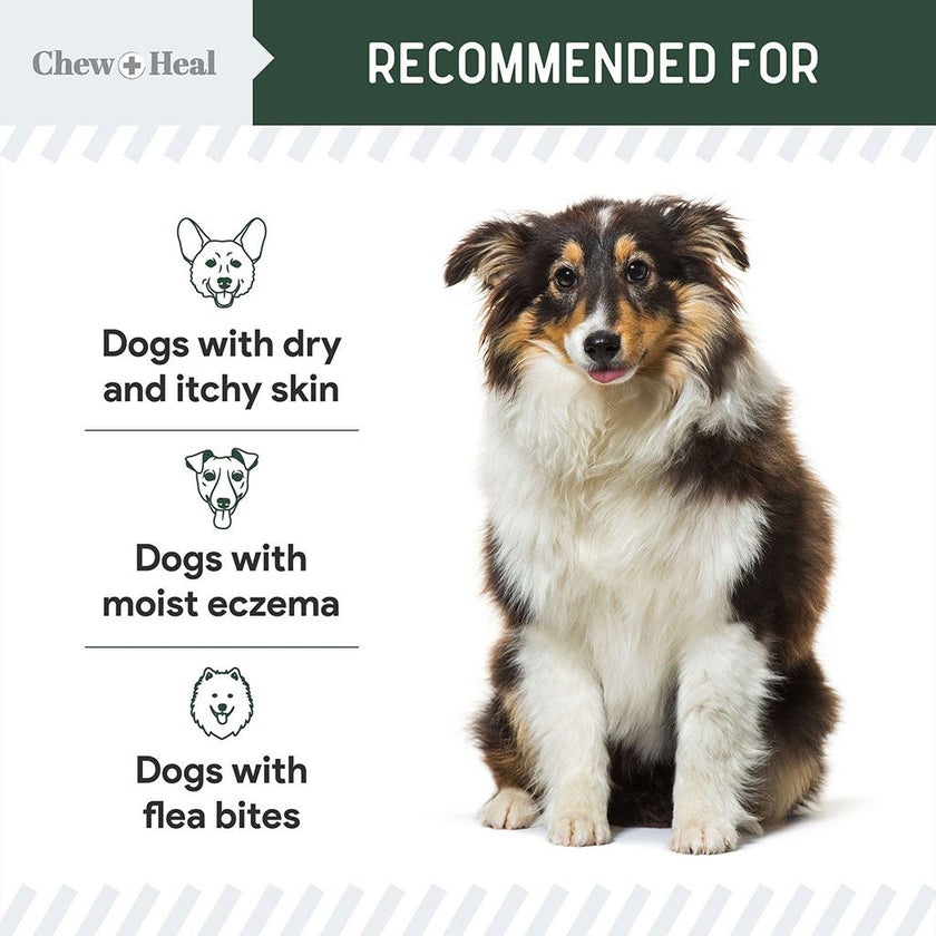 Chew + Heal Hydrocortisone Topical Lotion For Dogs 237ml