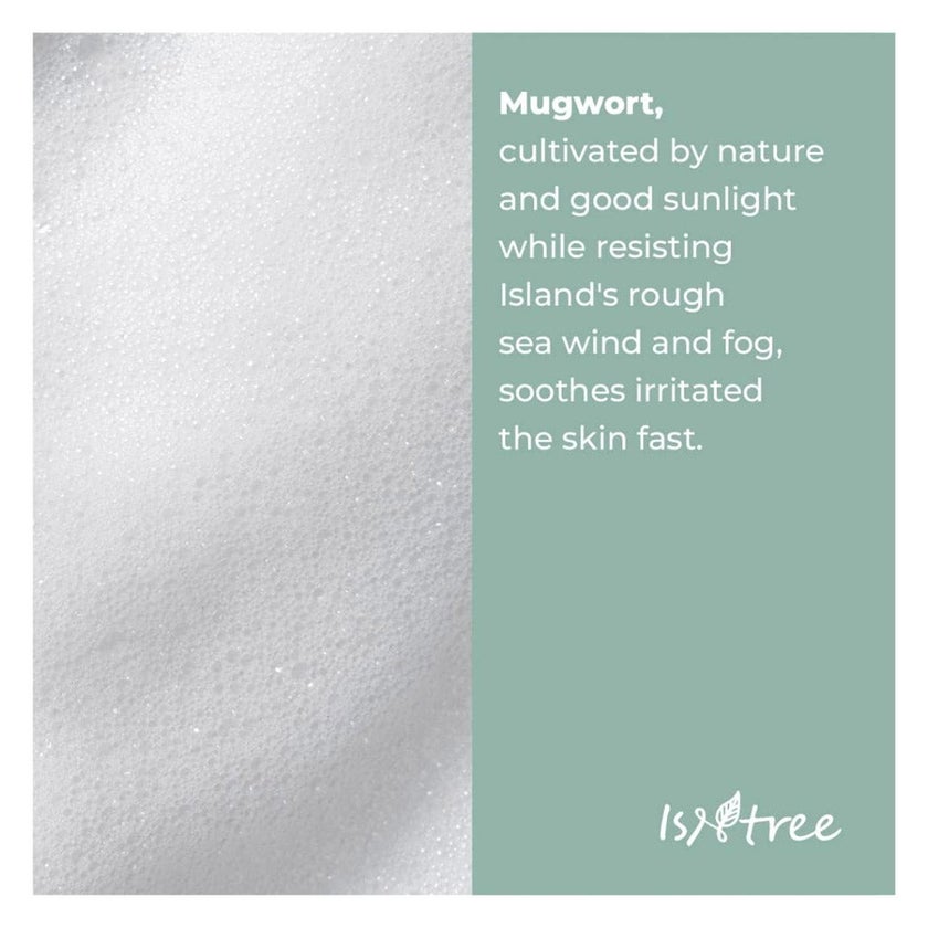 Isntree Mugwort Calming Powder Wash 25g, Pack of 25's