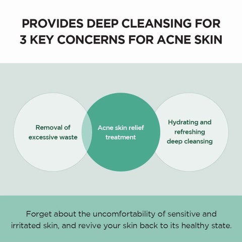Skin1004 Madagascar Centella Tea-Trica BHA Cleansing Foam 125ml